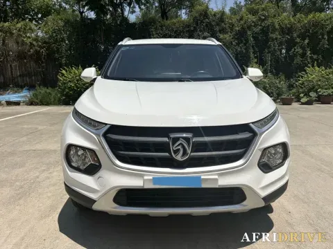 2019 BaoJun 510 2