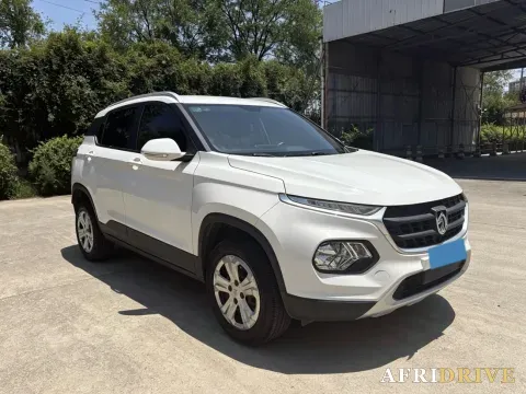 2019 BaoJun 510 3