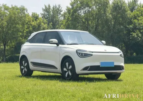2024 DongFeng eπ 01 3