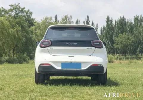 2024 DongFeng eπ 01 8
