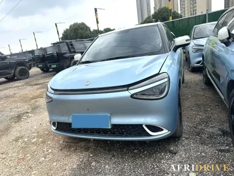 2024 DongFeng eπ 01 2