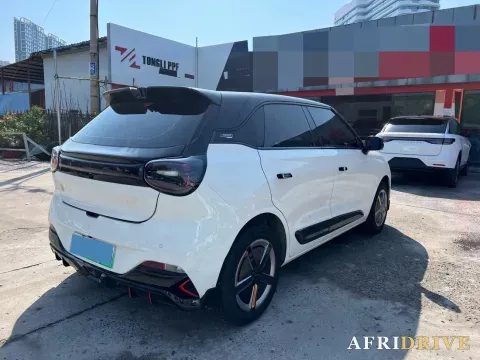 2024 DongFeng eπ 01 8
