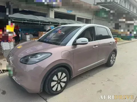 2023 WuLing BinGuo
