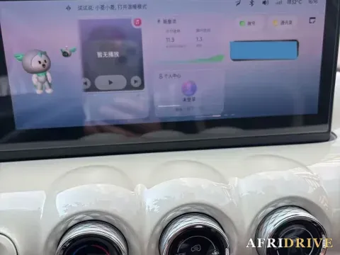 2023 WuLing BinGuo 4