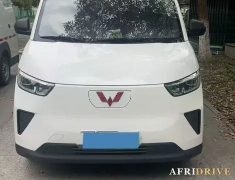 2024 WuLing YangGuang 2