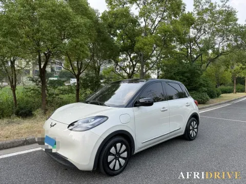 2024 WuLing BinGuo