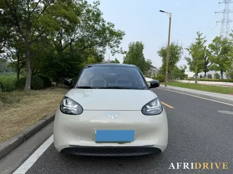 2024 WuLing BinGuo 2