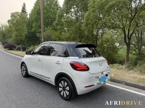 2024 WuLing BinGuo 6