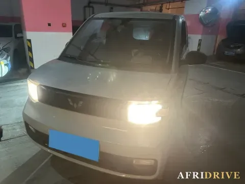 2021 WuLing HongGuang MINI EV