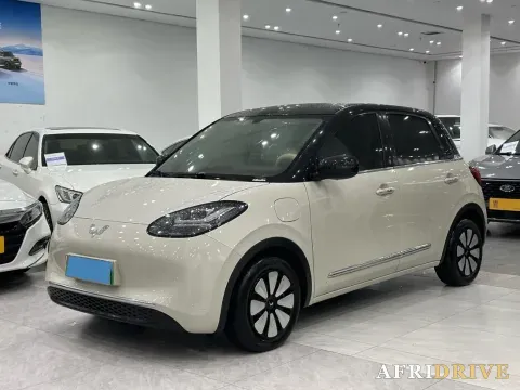 2024 WuLing BinGuo