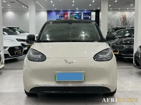 2024 WuLing BinGuo 2