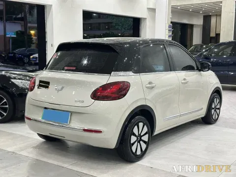 2024 WuLing BinGuo 3