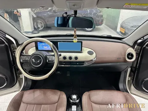 2024 WuLing BinGuo 8