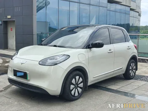 2023 WuLing BinGuo