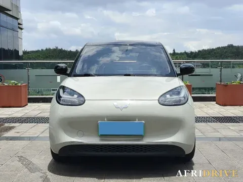 2023 WuLing BinGuo 2