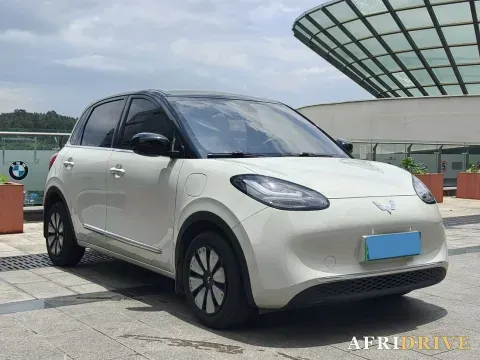 2023 WuLing BinGuo 3