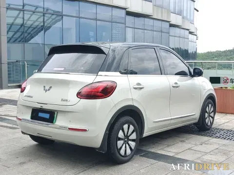 2023 WuLing BinGuo 4