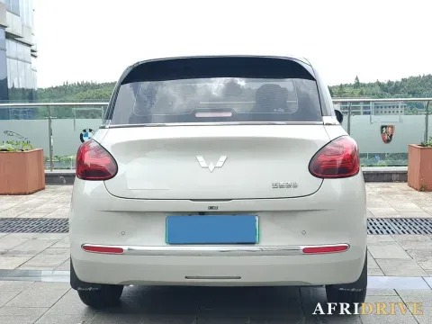 2023 WuLing BinGuo 5