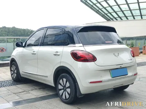 2023 WuLing BinGuo 6