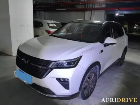 2021 WuLing XingChen