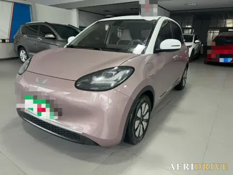 2023 WuLing BinGuo