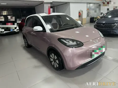 2023 WuLing BinGuo 3