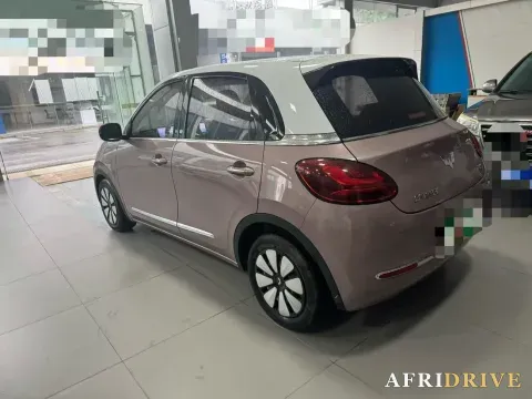 2023 WuLing BinGuo 6