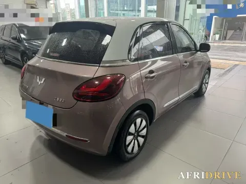 2023 WuLing BinGuo 8