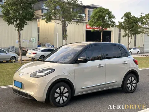 2024 WuLing BinGuo