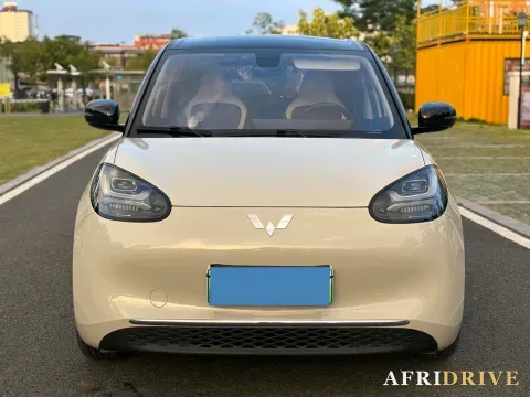2024 WuLing BinGuo 2