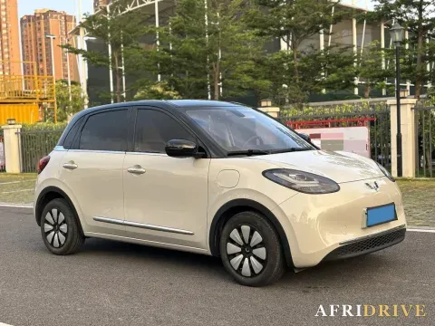2024 WuLing BinGuo 3