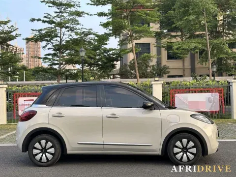 2024 WuLing BinGuo 7
