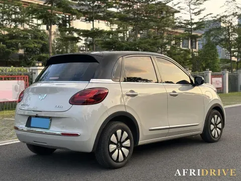 2024 WuLing BinGuo 8