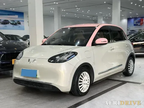 2023 WuLing BinGuo
