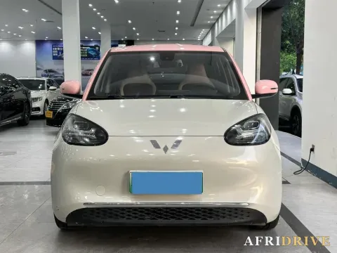2023 WuLing BinGuo 2