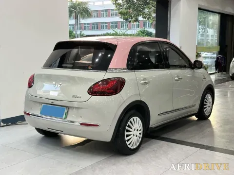 2023 WuLing BinGuo 3