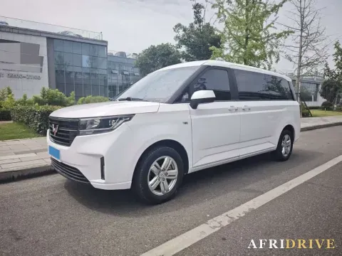 2021 WuLing ZhengChen