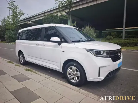 2021 WuLing ZhengChen 2