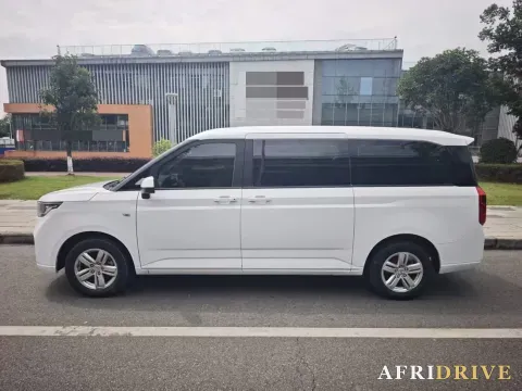 2021 WuLing ZhengChen 3