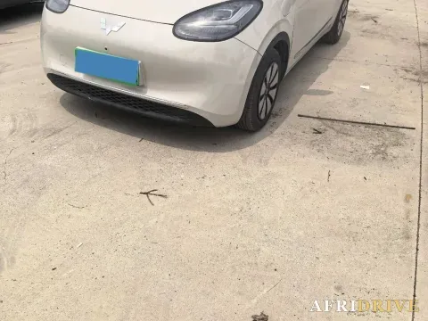 2023 WuLing BinGuo