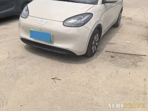 2023 WuLing BinGuo 2