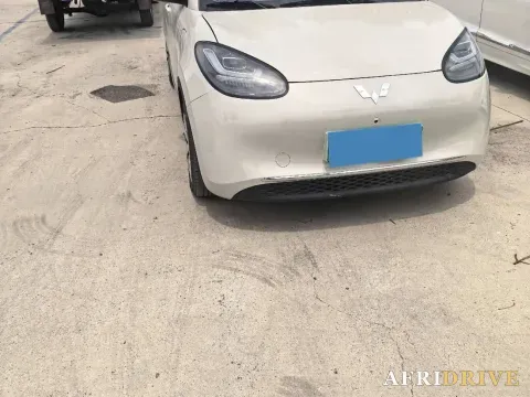 2023 WuLing BinGuo 4