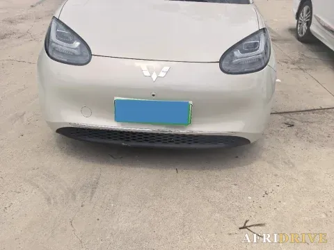 2023 WuLing BinGuo 5