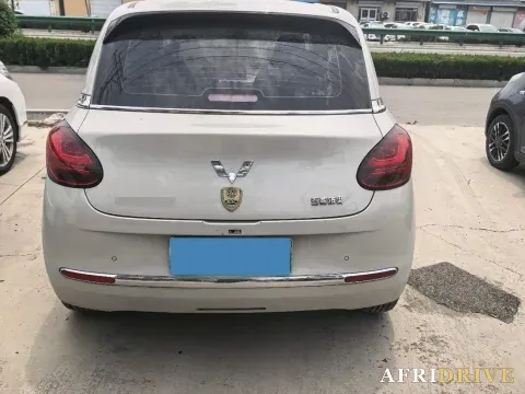 2023 WuLing BinGuo 6