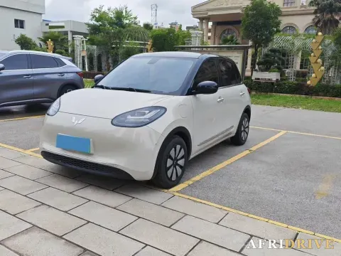 2023 WuLing BinGuo
