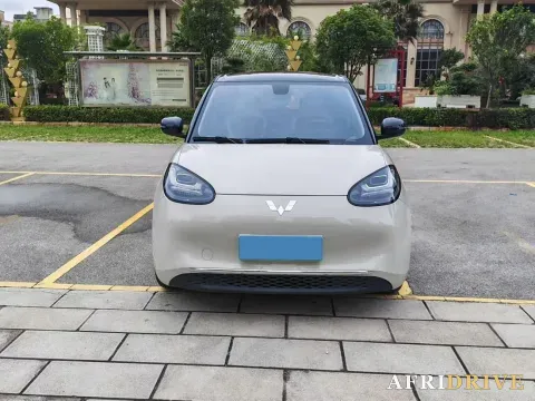 2023 WuLing BinGuo 2