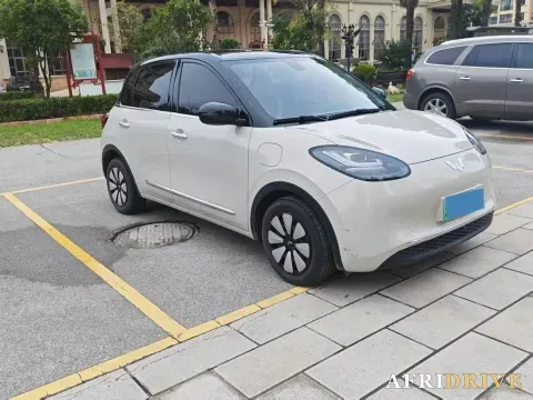 2023 WuLing BinGuo 3