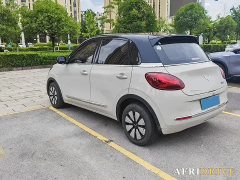 2023 WuLing BinGuo 7