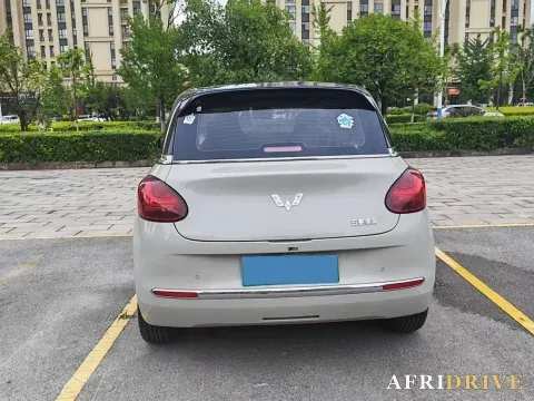 2023 WuLing BinGuo 8