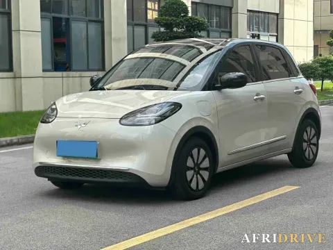 2023 WuLing BinGuo